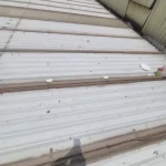 Membrana de PVC: la solución más duradera para impermeabilizar techos industriales y comerciales