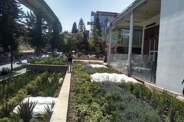 Primer plano de dos domos ondulados de policarbonato integrados en un jardín elevado en un entorno urbano, ofreciendo luz a la estructura inferior.
